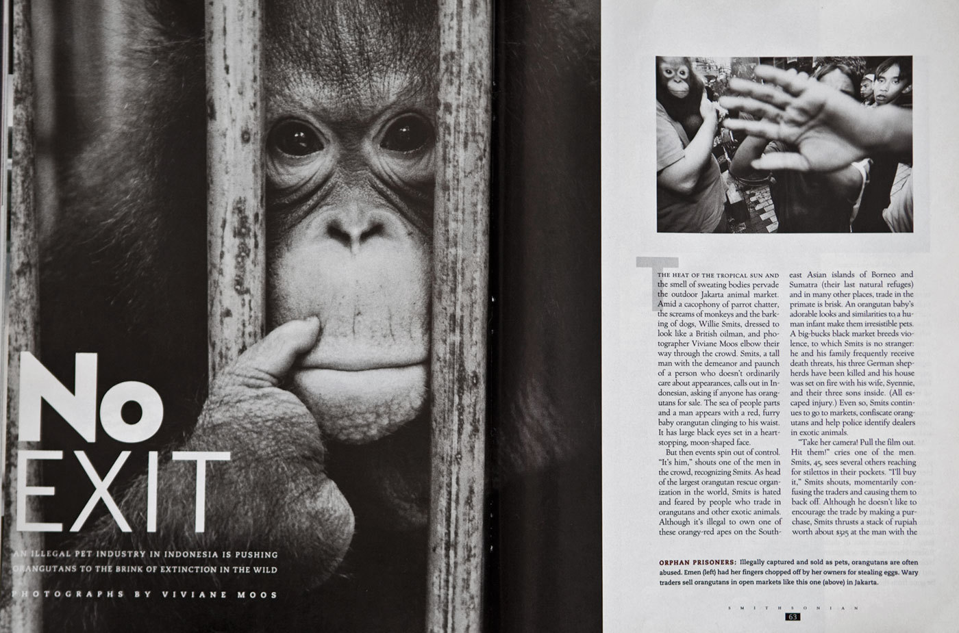 Orangutan extinction. Smithsonian Magazine, USA : TEAR SHEETS : Viviane Moos |  Documentary Photographer