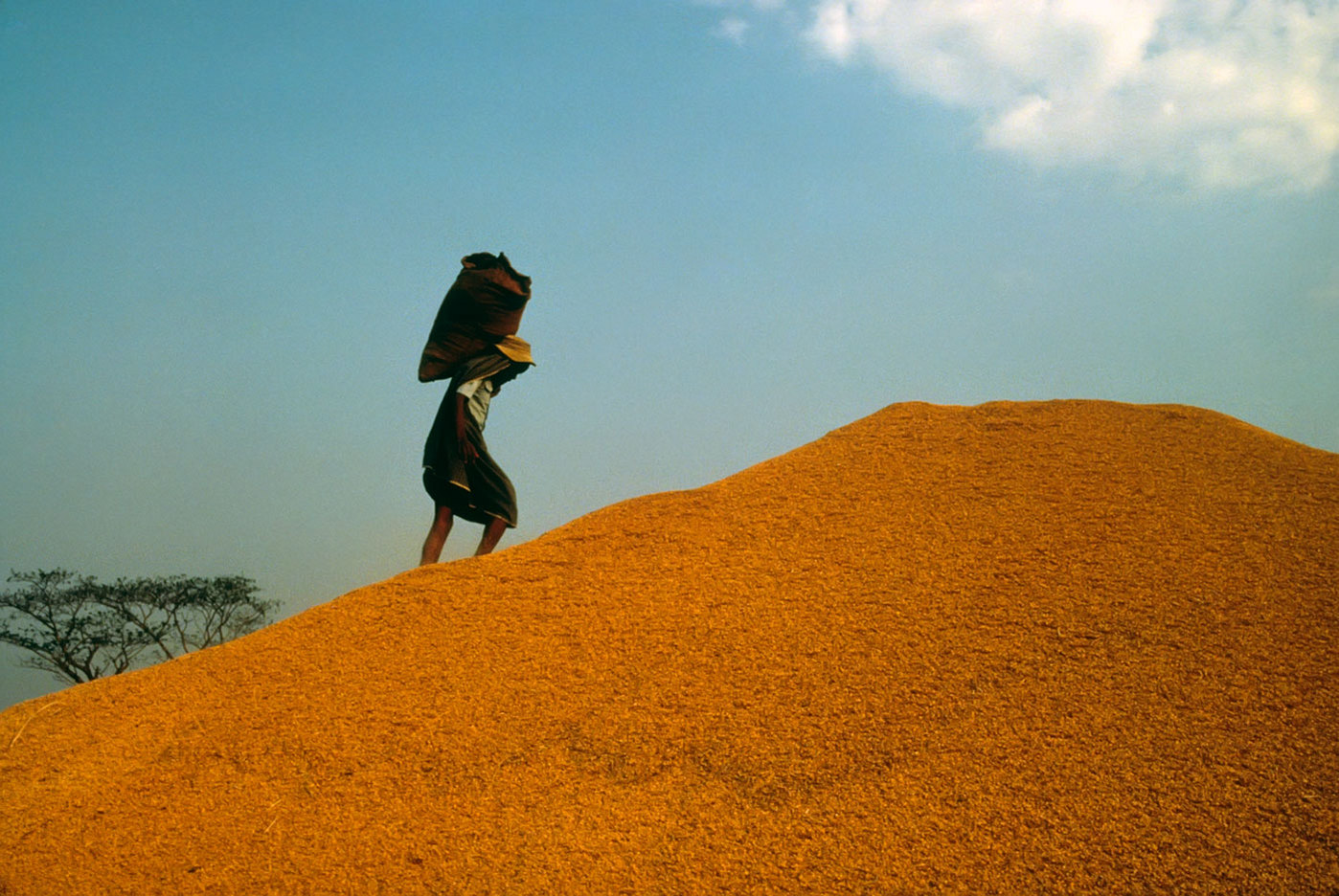 A mountain of rice in Burma : BUSINESS & INDUSTRY : Viviane Moos |  Documentary Photographer