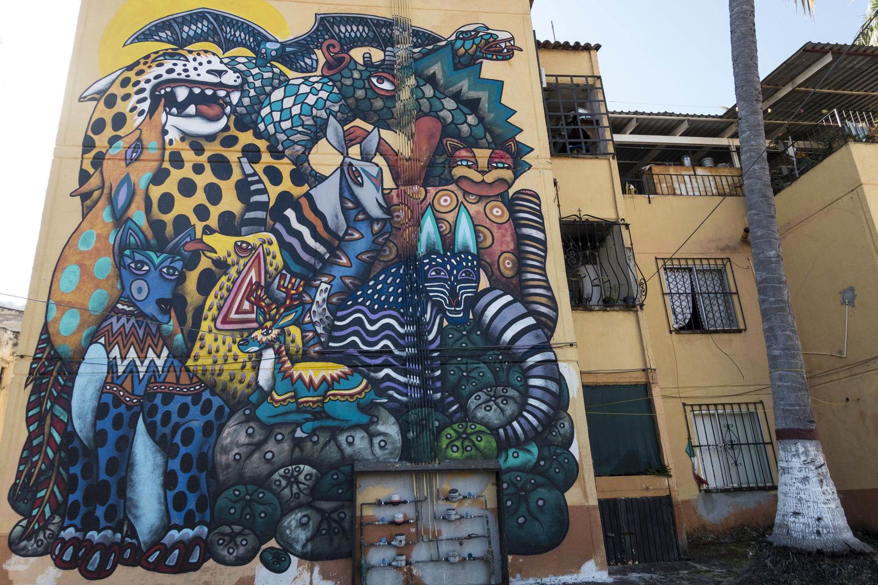 Colorful, imaginatively rendered animals , tigers, bats, snakes and others painted on a four story residential building. : PUERTO VALLARTA - Wall Art & Bicycle Tour : Viviane Moos |  Documentary Photographer
