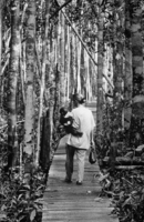Too independent to continue sleeping in her home, Lorne brings Utung to the halfway forest where he will spend his first night away from her - © Viviane Moos