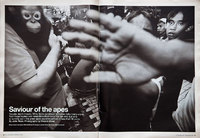 Dr. Willie Smits, saving Orangutans of Borneo. Daily Telegraph Magazine. UK - © Viviane Moos