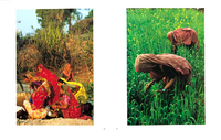 Sisters of the South. Global story on Women for UNFPA. USA - © Viviane Moos
