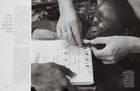 Orangutans Survival in Borneo. German Geo. - © Viviane Moos