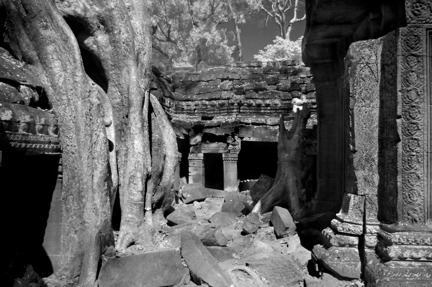  : FEATURE: The Trees of Angkor : Viviane Moos |  Documentary Photographer