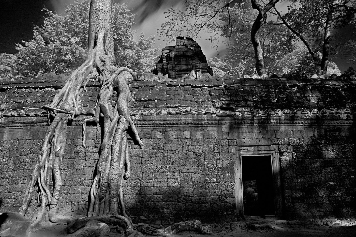  : FEATURE: The Trees of Angkor : Viviane Moos |  Documentary Photographer