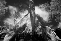  - © Viviane Moos