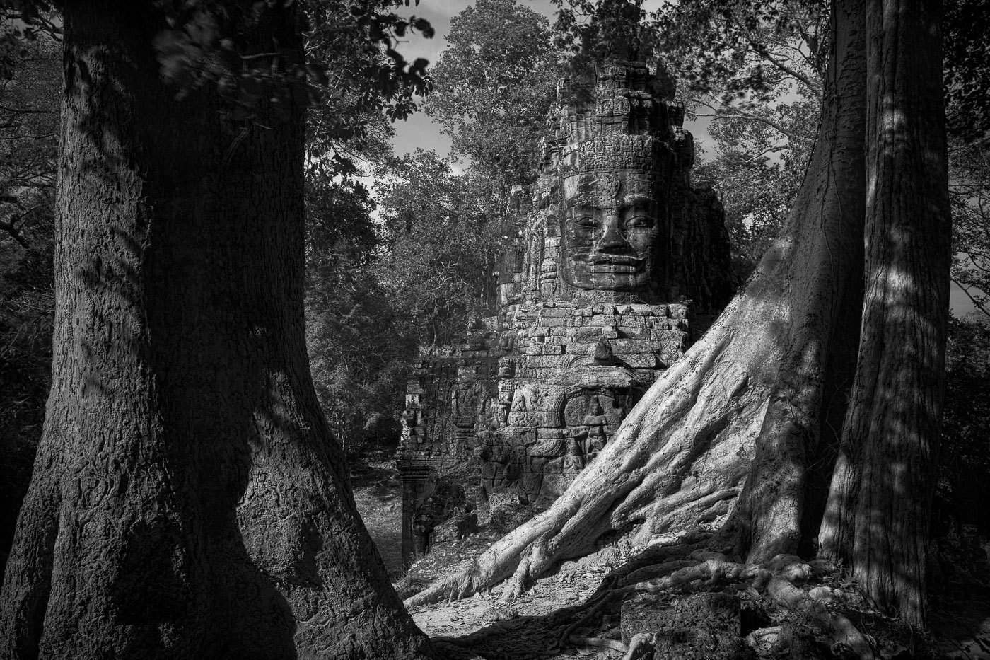  : FEATURE: The Trees of Angkor : Viviane Moos |  Documentary Photographer