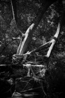  - © Viviane Moos
