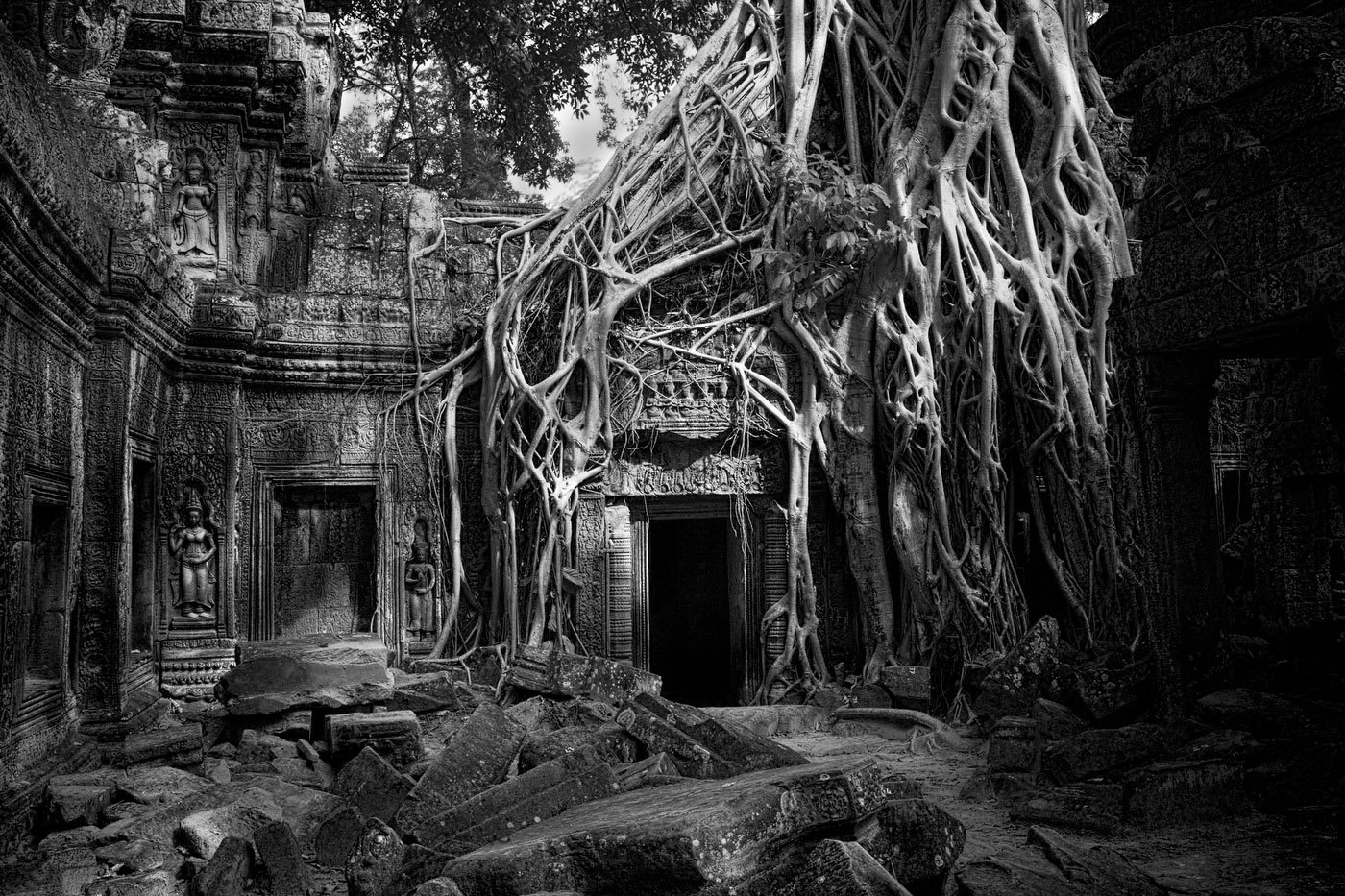  : FEATURE: The Trees of Angkor : Viviane Moos |  Documentary Photographer