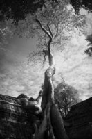 - © Viviane Moos