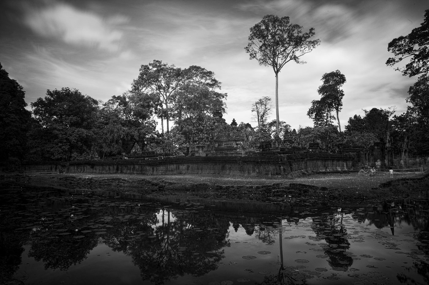  : FEATURE: The Trees of Angkor : Viviane Moos |  Documentary Photographer