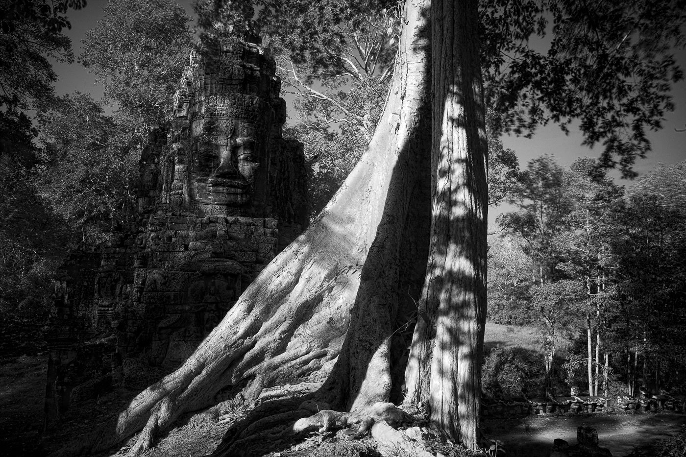  : FEATURE: The Trees of Angkor : Viviane Moos |  Documentary Photographer