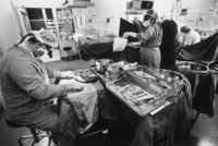 Kidney transplant operation at Groote Schuur hospital, Cape Town, South Africa
  - © Viviane Moos