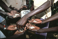 Displaced men share beans for planting in a Southern Sudan camp - © Viviane Moos