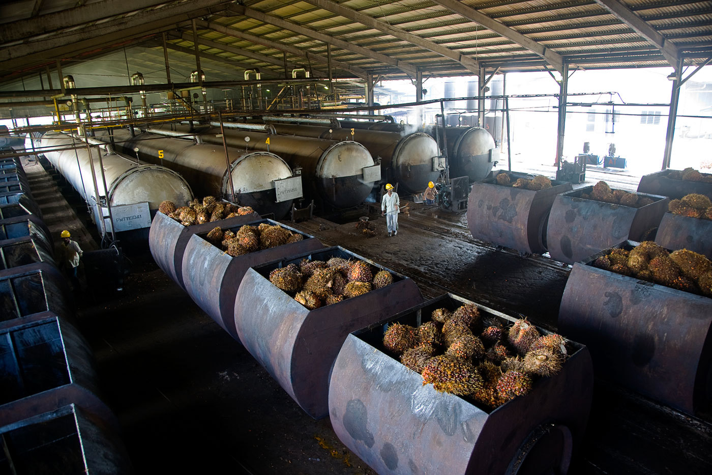 Palm oil fruit going into the pressure steam-cooking tanks : BUSINESS & INDUSTRY : Viviane Moos |  Documentary Photographer