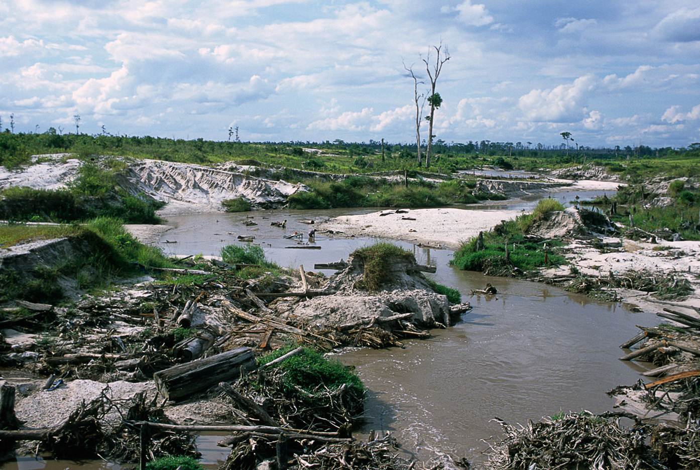 Where once forests grew now nothing remains, Central Borneo : CRISIS : Viviane Moos |  Documentary Photographer