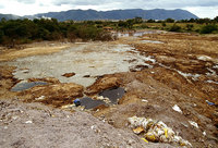 Toxic land due to chemicals dumped by tanneries - © Viviane Moos