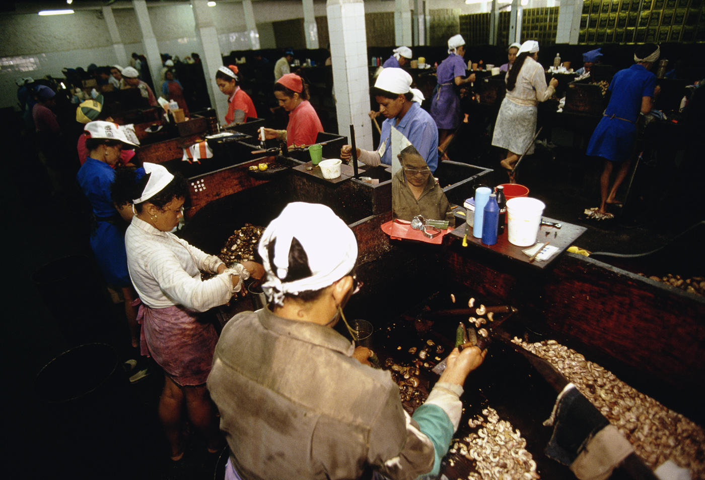 Women workers in a cashew factory, Brazil. : BUSINESS & INDUSTRY : Viviane Moos |  Documentary Photographer