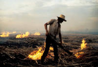 Burning the sugar cane fields in Colombia. - © Viviane Moos