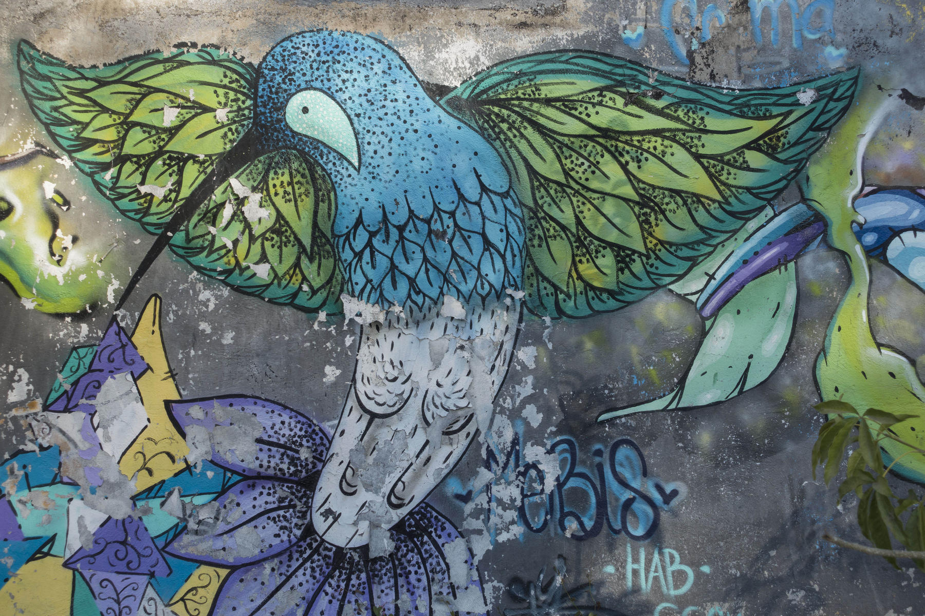Humming bird on a park wall : PUERTO VALLARTA - Wall Art & Bicycle Tour : Viviane Moos |  Documentary Photographer