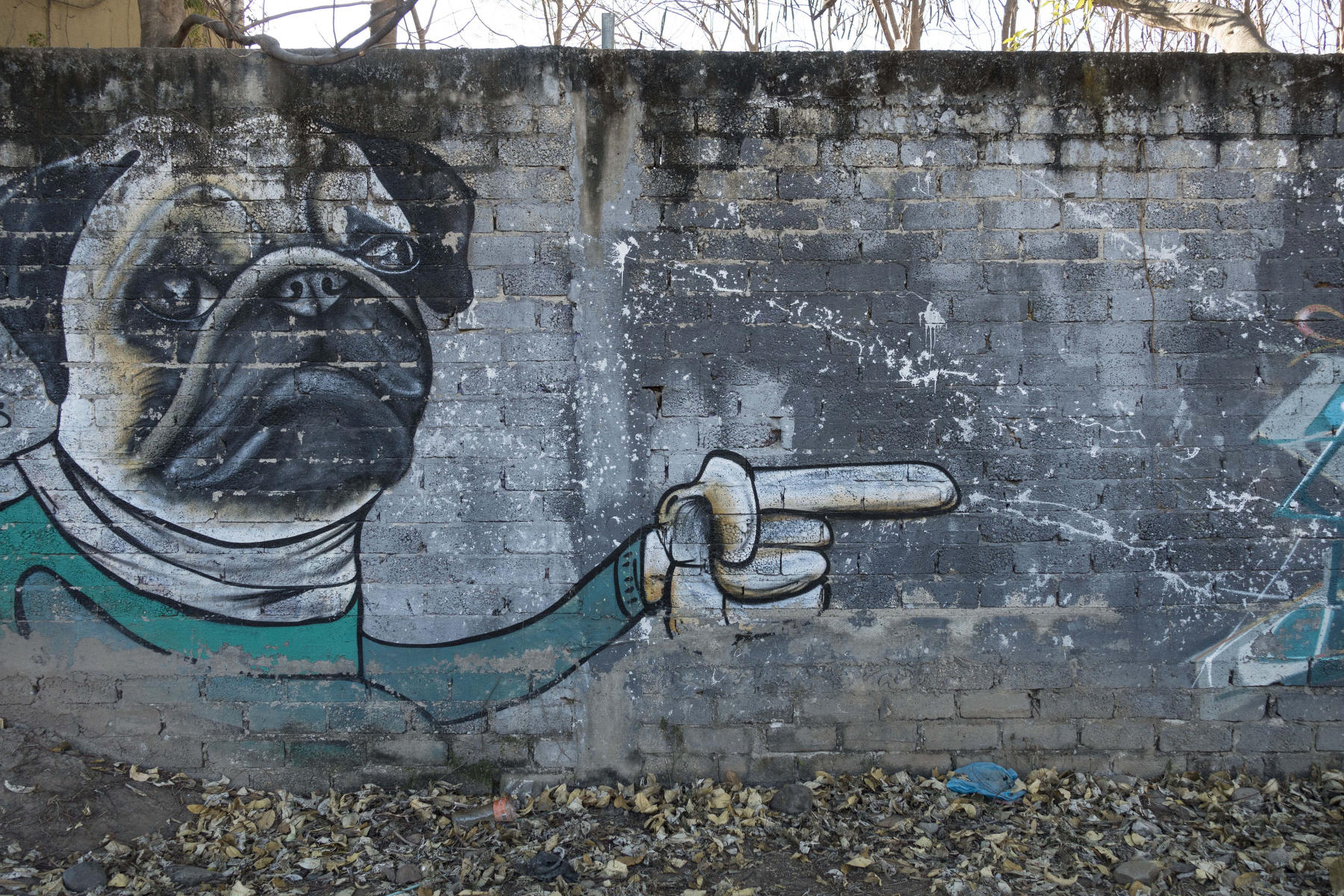 Park wall pug dog : PUERTO VALLARTA - Wall Art & Bicycle Tour : Viviane Moos |  Documentary Photographer