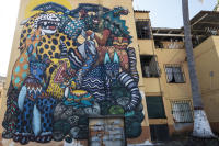 Colorful, imaginatively rendered animals , tigers, bats, snakes and others painted on a four story residential building. - © Viviane Moos