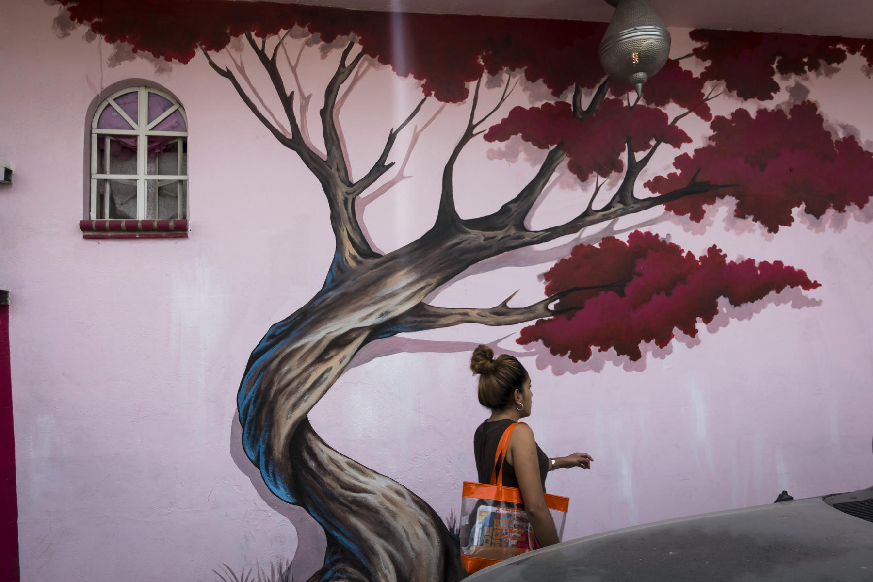 A real woman, a  real window and a painted tree 
 : PUERTO VALLARTA - Wall Art & Bicycle Tour : Viviane Moos |  Documentary Photographer