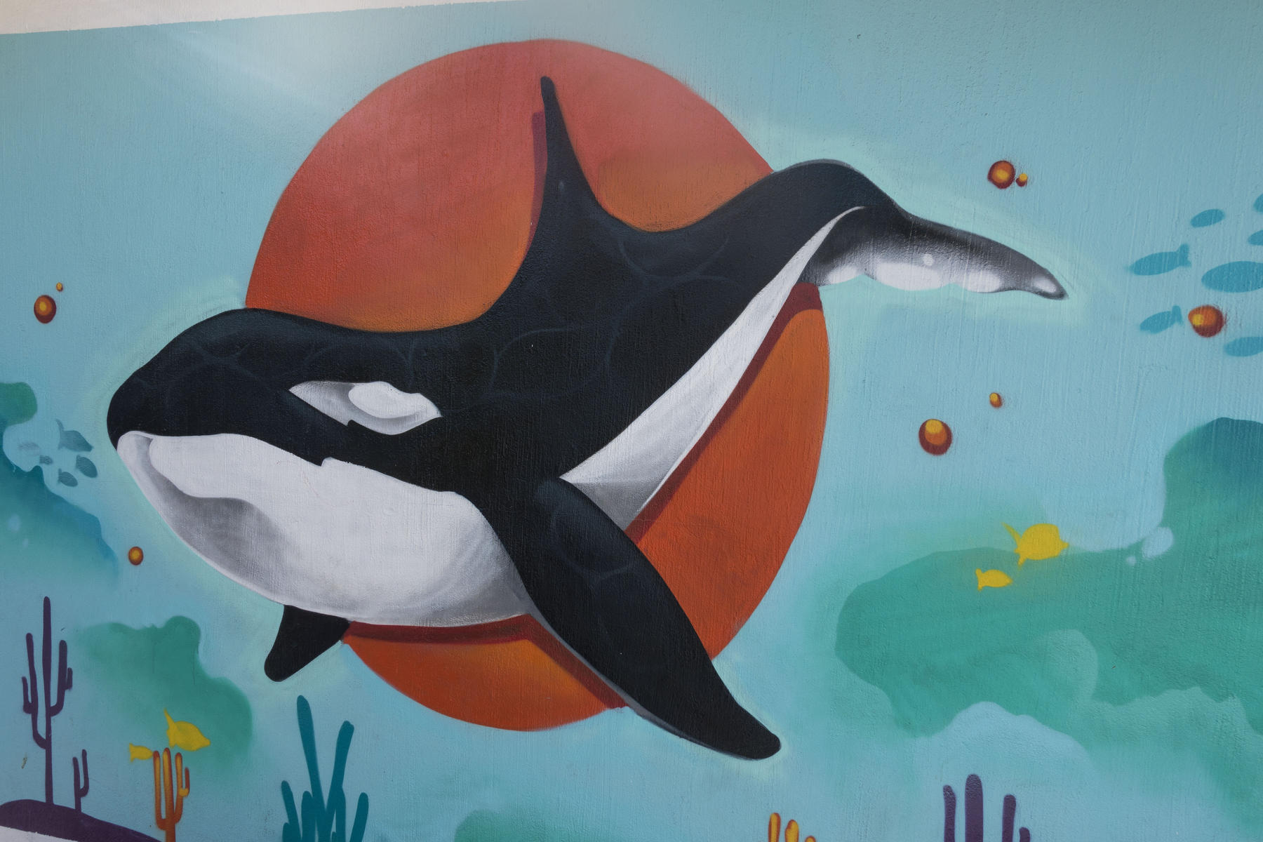 A killer whale orca painted as part of a Save the Reef project sponsored by a paint manufacturer : PUERTO VALLARTA - Wall Art & Bicycle Tour : Viviane Moos |  Documentary Photographer